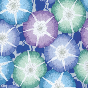Kaffe Fassett PWPJ085 Glory