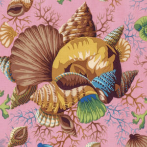 Kaffe Fassett PWPJ088 Shell Bquet