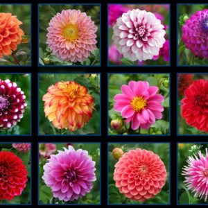 Digital Garden mixed flowers black backround