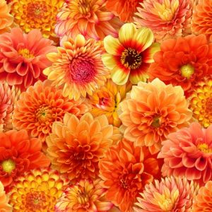 Digital Garden Marigo