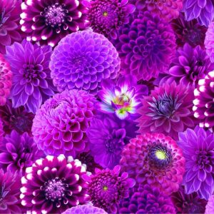 Digital Garden Purple